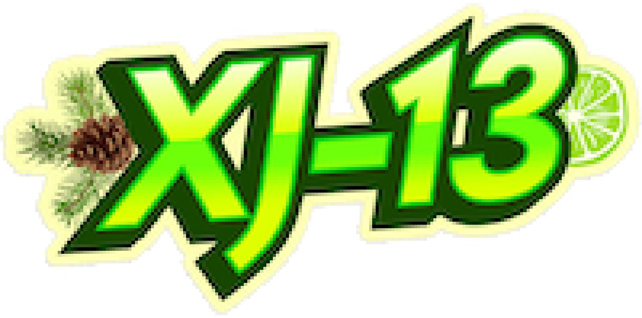 XJ-13