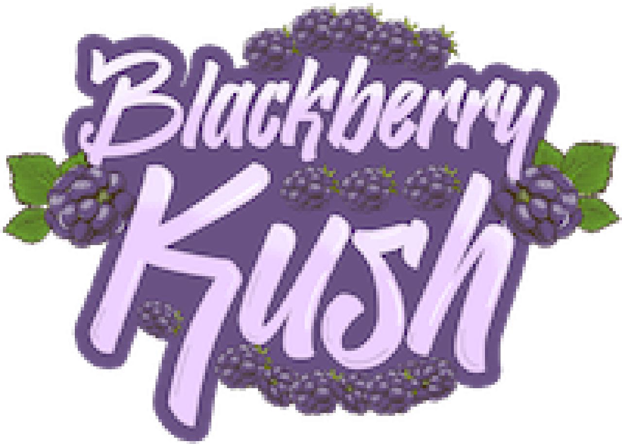 Blackberry Kush